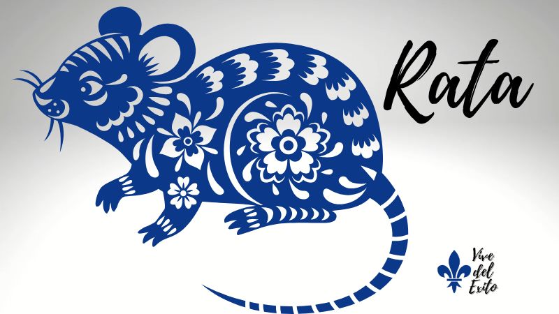 año de la rata astrología china ano-de-la-rata-astrologia-china